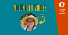 teal rectangle with the text VOLUNTEER VOICES, then an arrow pointing to JESS's face, which is the smiling face of a white woman with glasses, brown hair, and a sun hat